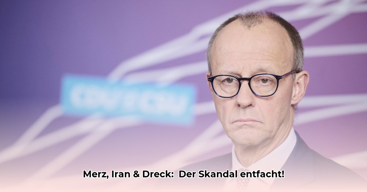 drecksarbeit-friedrich-merz
